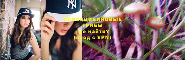 a pvp Баксан