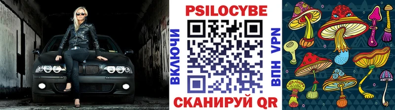 Галлюциногенные грибы GOLDEN TEACHER KRAKEN зеркало Певек